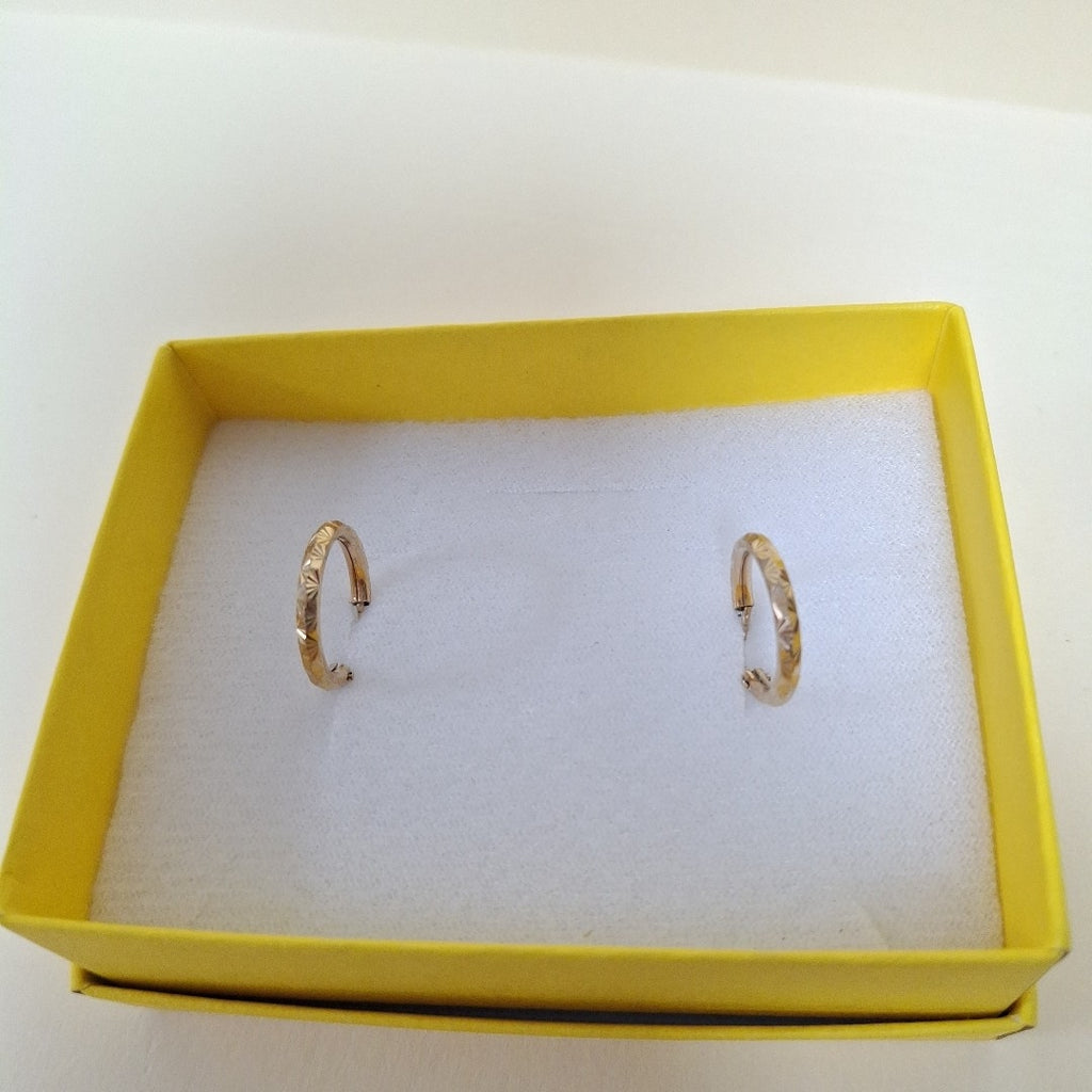 ARRACADAS PAR ORO 10 K 1.1 GRMS (SEMINUEVO)