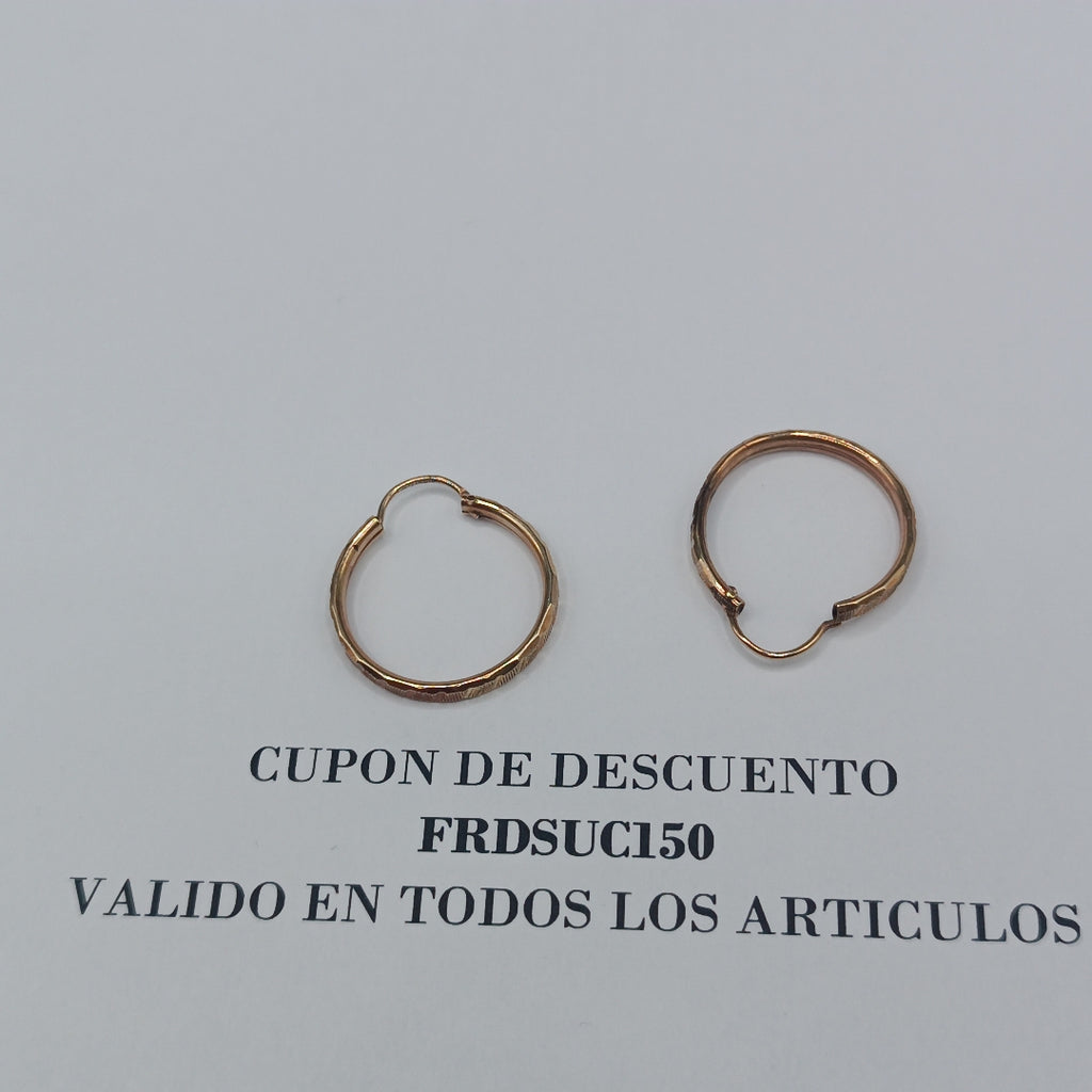 ARRACADAS PAR ORO 10 K 1.8 GRMS (SEMINUEVO)