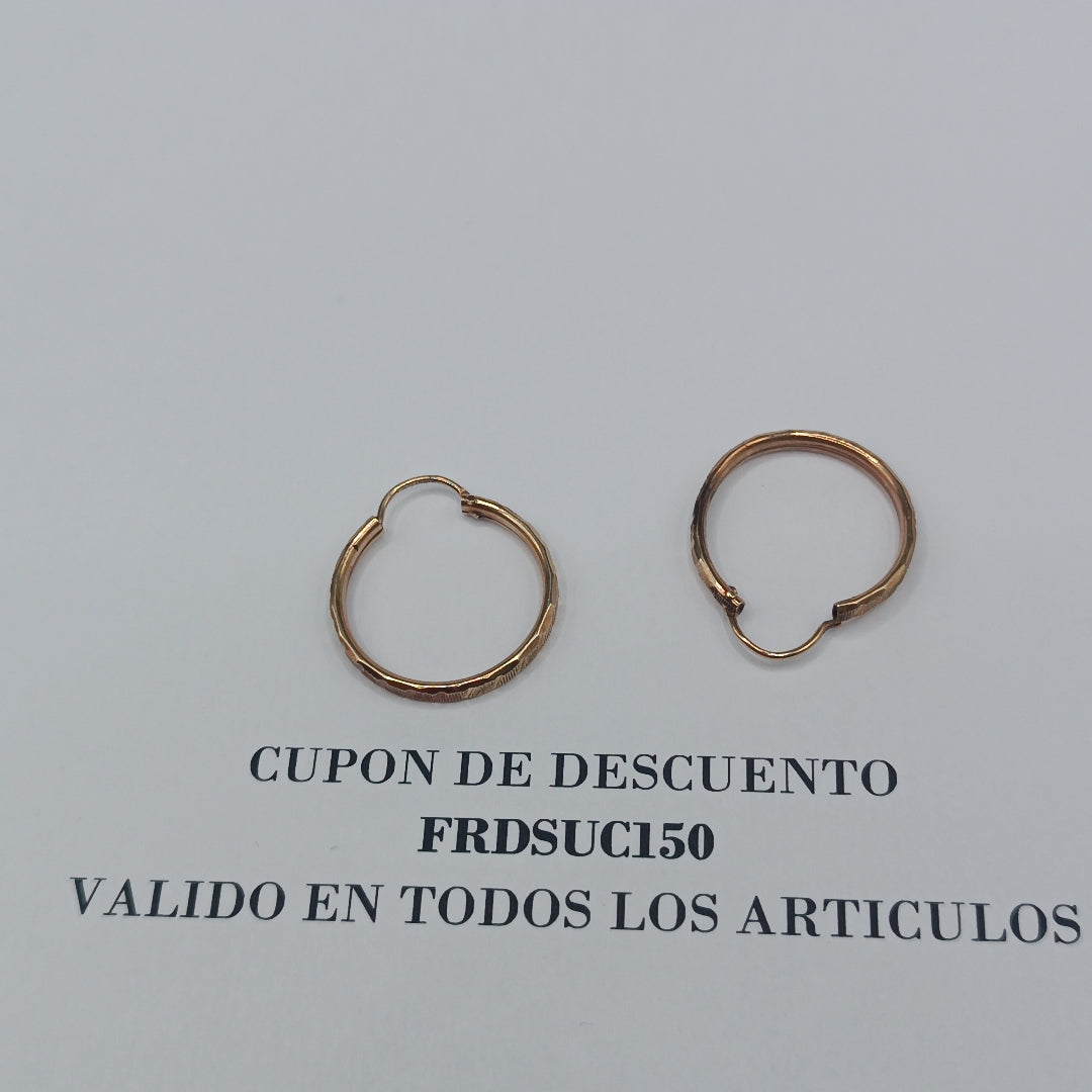 ARRACADAS PAR ORO 10 K 1.8 GRMS (SEMINUEVO)