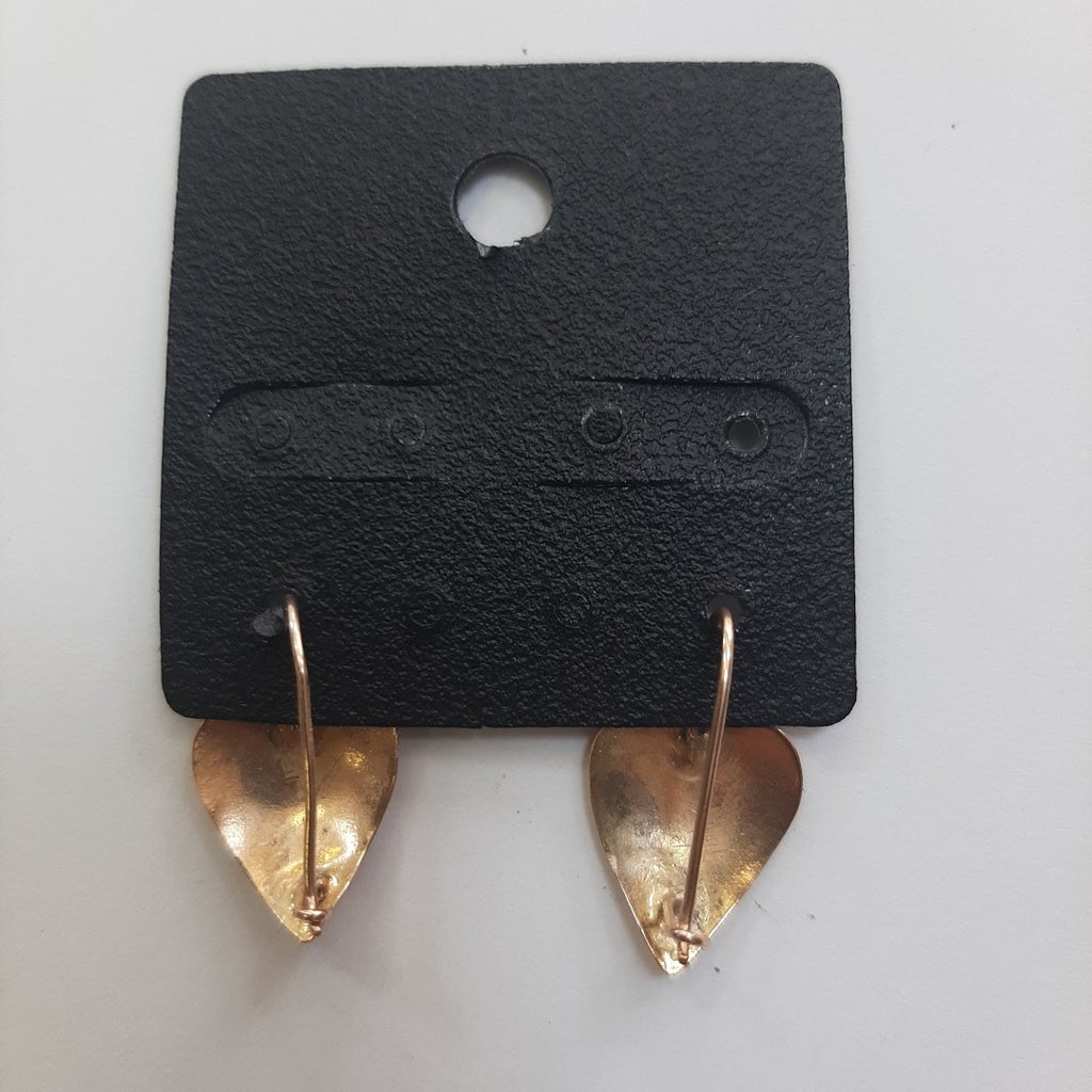 ARETES PAR ORO 10 K 1 GRMS (SEMINUEVO)