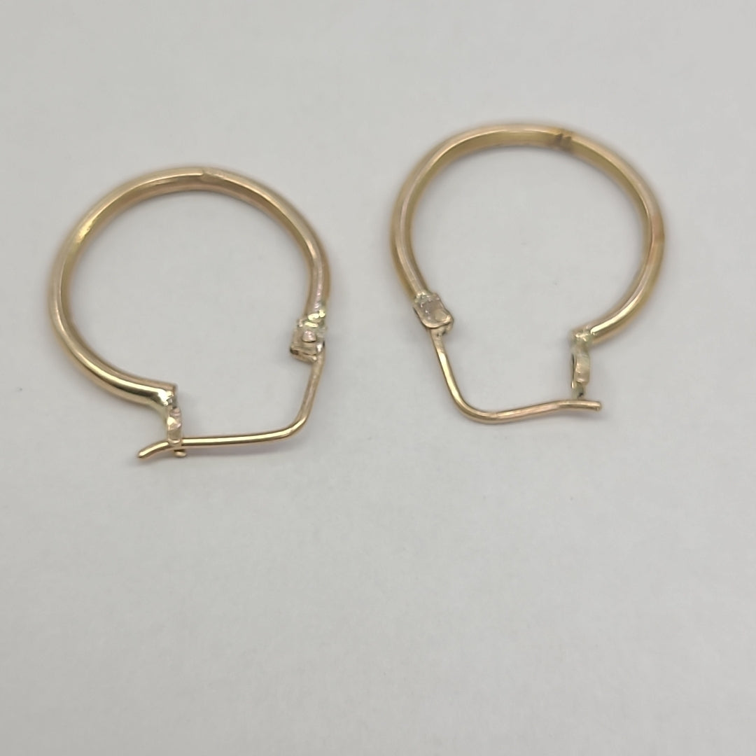 ARRACADAS PAR ORO 10 K 2.7 GRMS (SEMINUEVO)