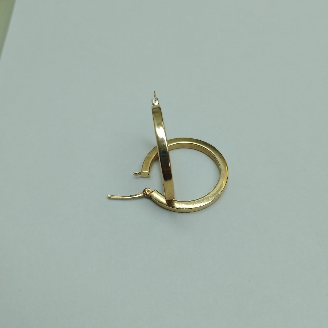ARRACADAS PAR ORO 14 K 4.4 GRMS (SEMINUEVO)
