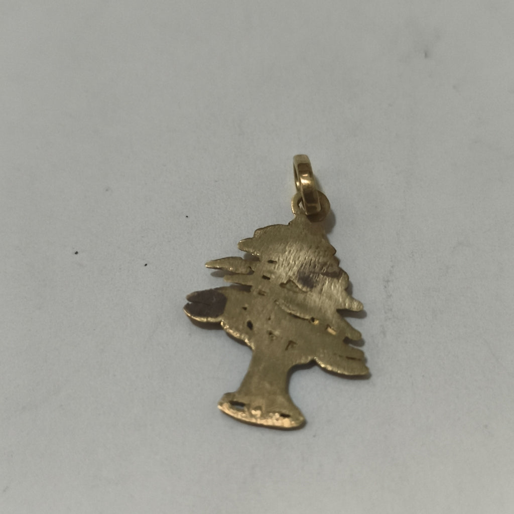 DIJE ORO 10 K 1.9 GRMS (SEMINUEVO)