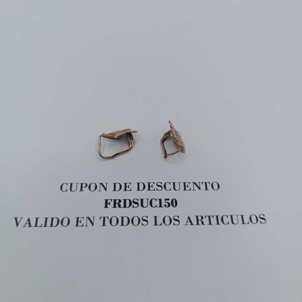 ARETES PAR ORO 10 K 1.4 GRMS (SEMINUEVO)