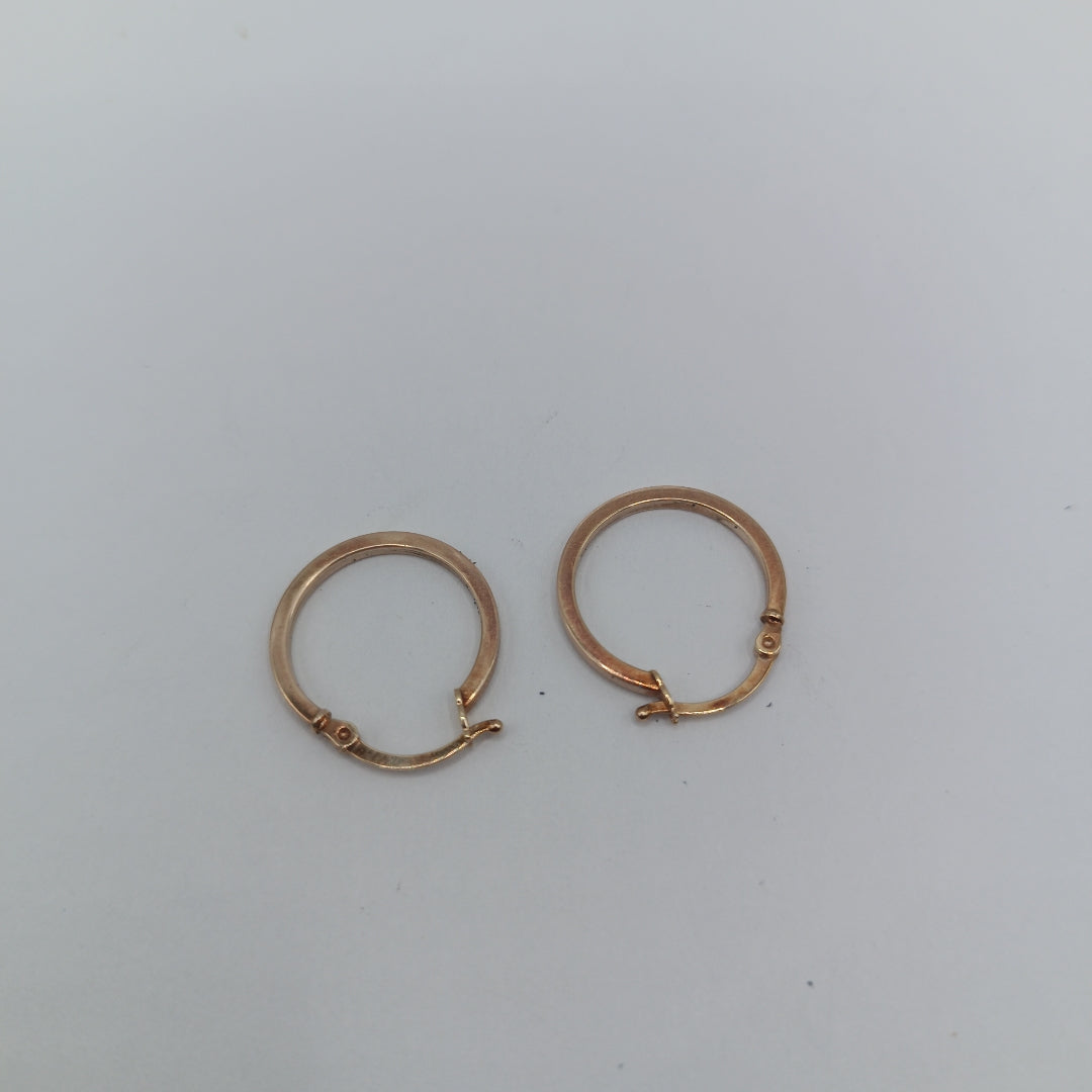 ARETES PAR ORO 10 K 1.1 GRMS (SEMINUEVO)