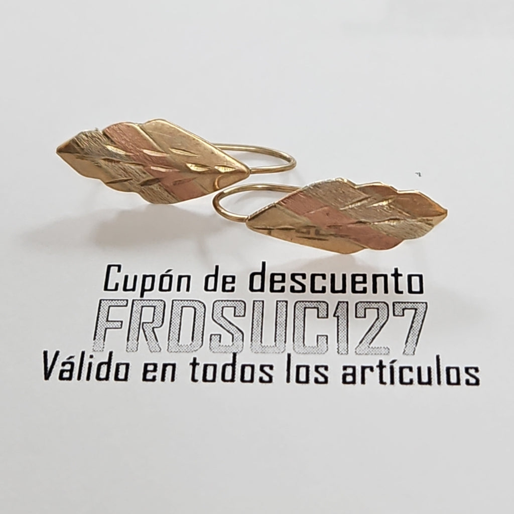 ARETES PAR ORO 10 K 0,90 GRMS (SEMINUEVO)