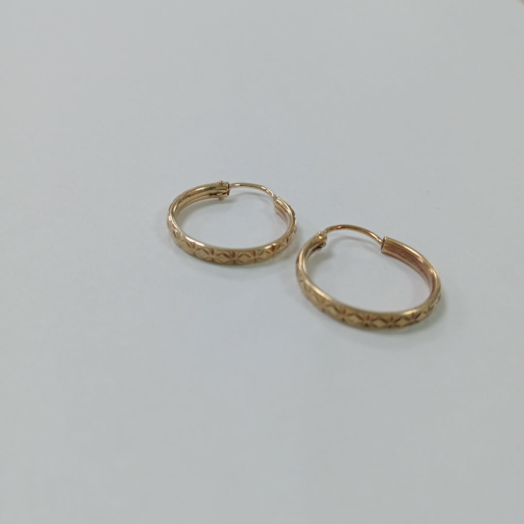 ARRACADAS PAR ORO 10 K 1.4 GRMS (SEMINUEVO)