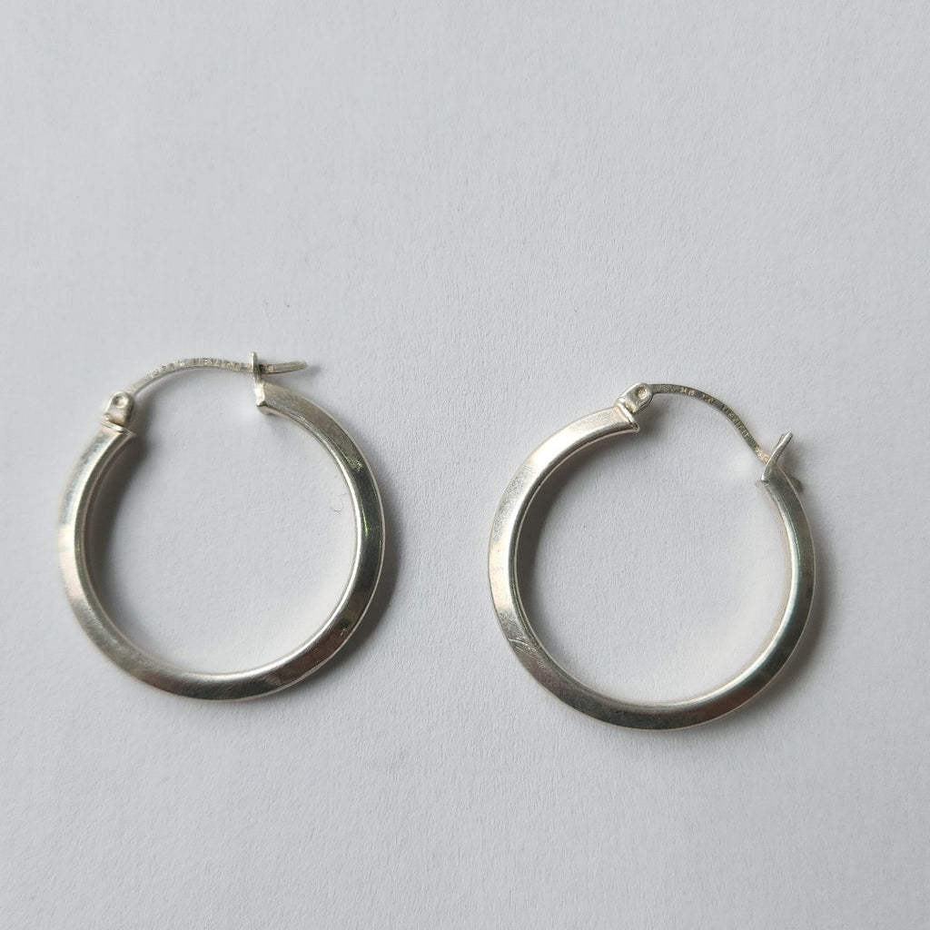 ARRACADAS PAR PLATA 2.9 GRMS (SEMINUEVO)