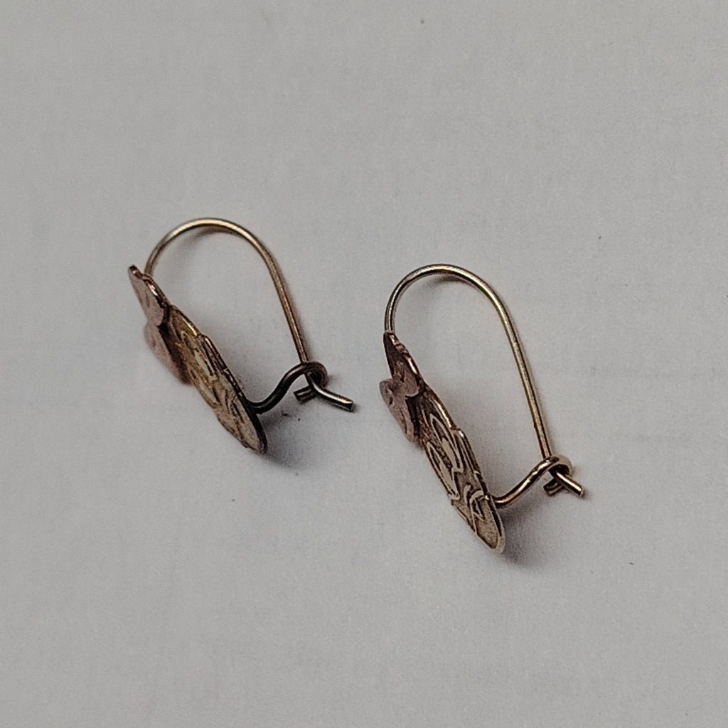 ARETES PAR ORO 10 K 1,20 GRMS (SEMINUEVO)