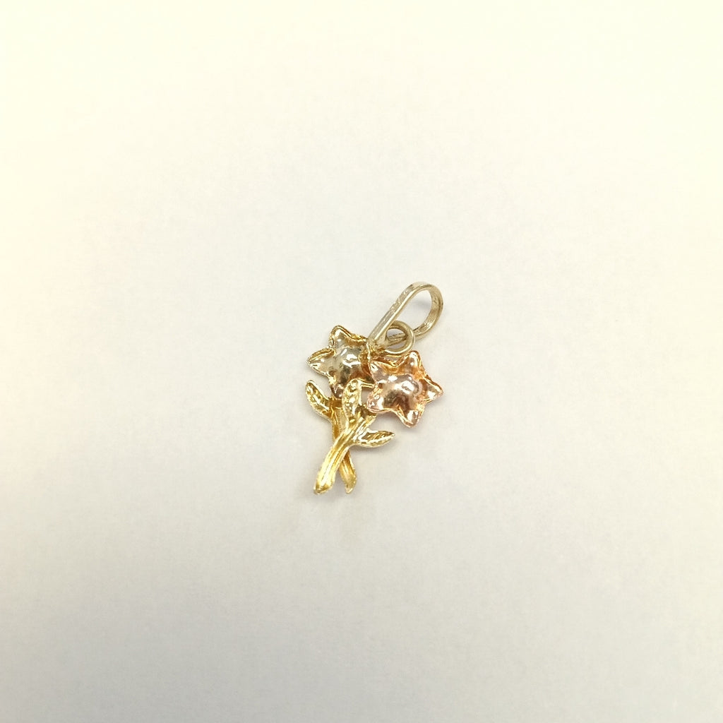 DIJE ORO, ORO COMBINADO 14 K 0.7 GRMS (SEMINUEVO)