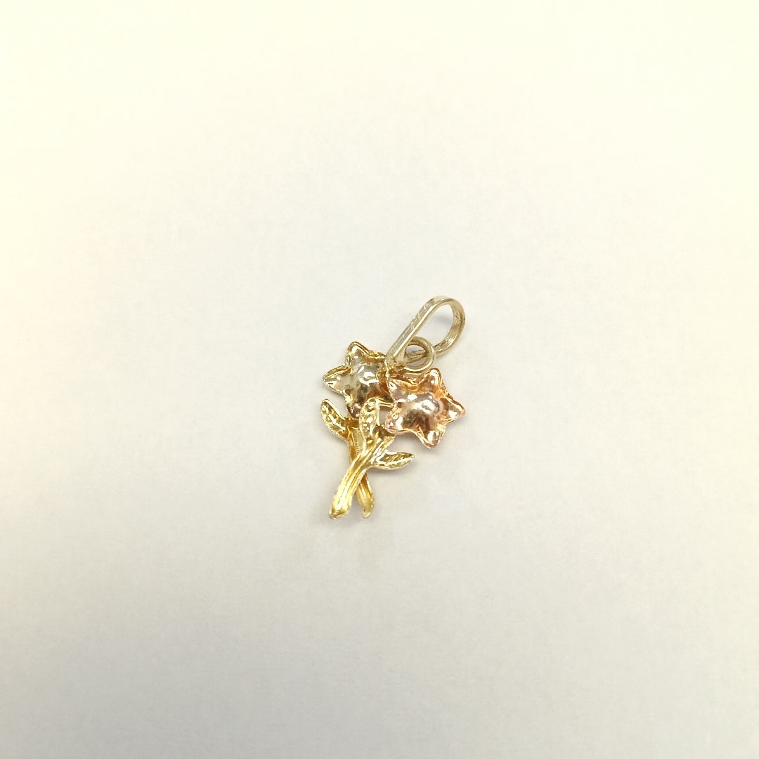 DIJE ORO, ORO COMBINADO 14 K 0.7 GRMS (SEMINUEVO)