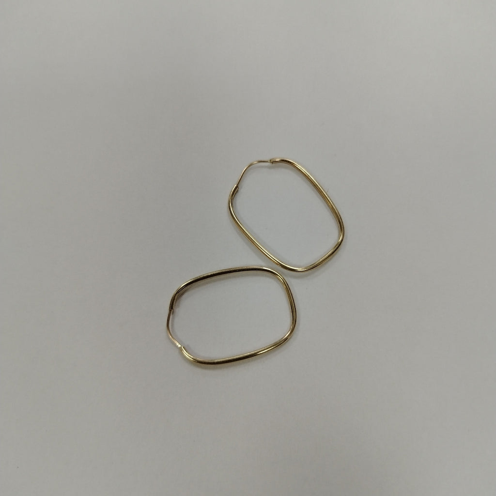 ARRACADAS PAR ORO 10 K 0.9 GRMS (SEMINUEVO)
