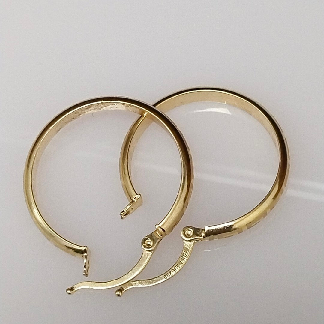 ARRACADAS PAR ORO 10 K 1.7 GRMS (SEMINUEVO)