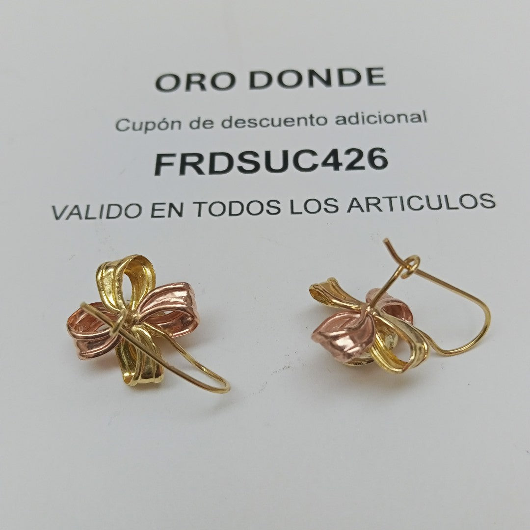 ARETES PAR ORO 10 K 2,90 GRMS (SEMINUEVO)