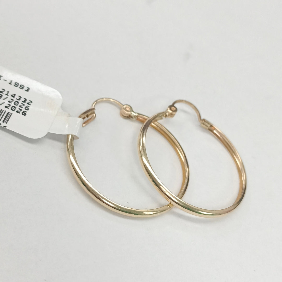 ARRACADAS PAR ORO 10 K 1.9 GRMS (SEMINUEVO)