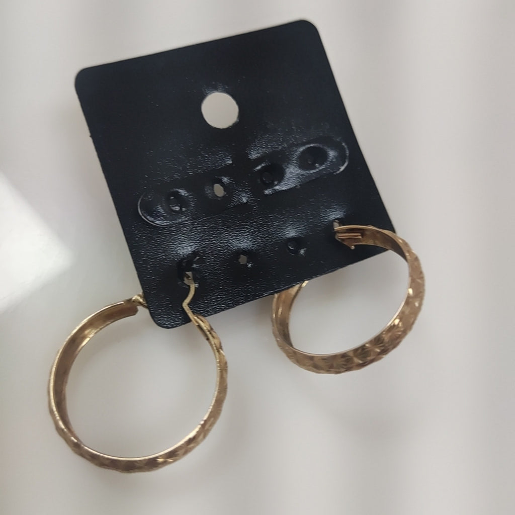 ARRACADAS PAR ORO 10 K 2,70 GRMS (SEMINUEVO)