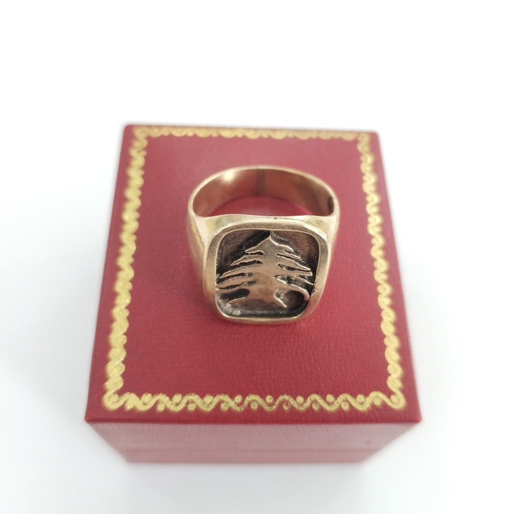 ANILLO ORO 14 K 12.2 GRMS (SEMINUEVO)