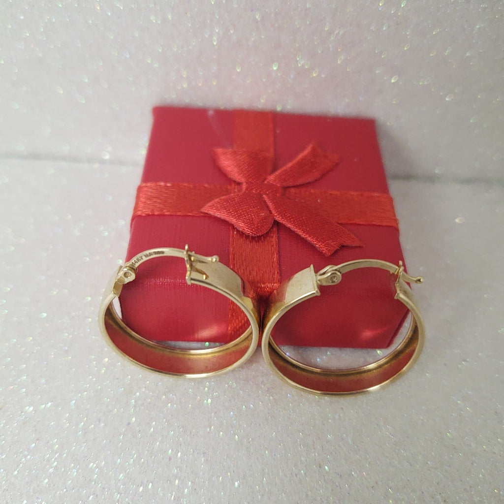 ARRACADAS PAR ORO 14 K 2.3 GRMS (SEMINUEVO)