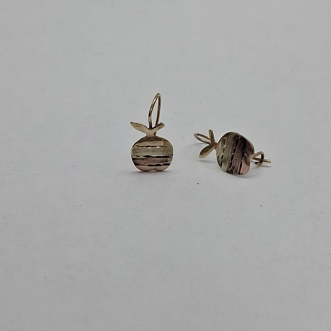 ARETES PAR ORO 10 K 1.2 GRMS (SEMINUEVO)