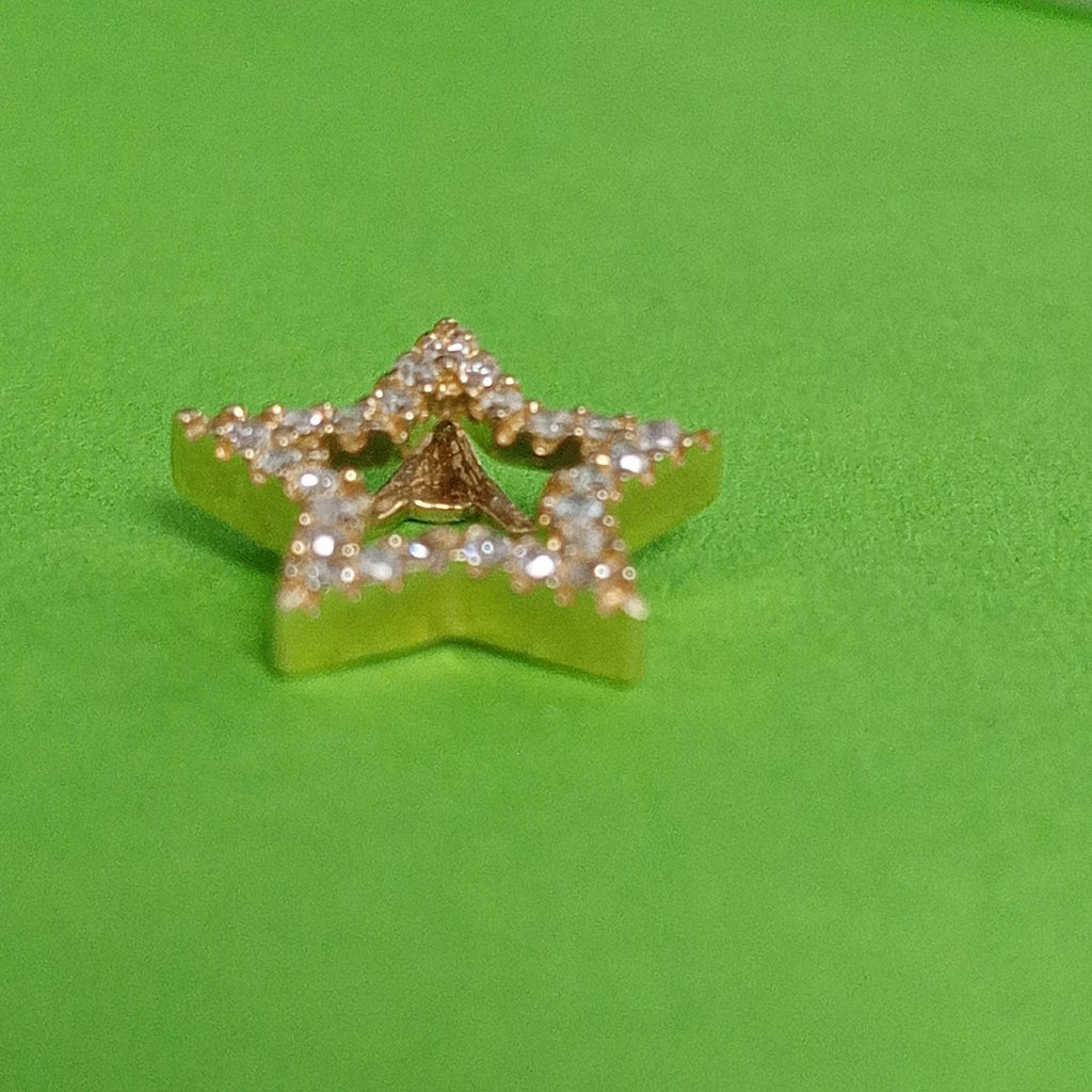 DIJE ORO 14 K 0.6 GRMS (SEMINUEVO)