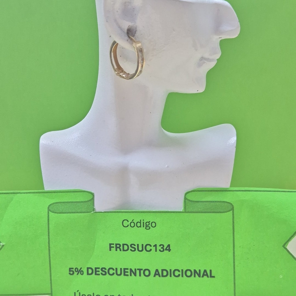 ARRACADAS PAR ORO 10 K 1.1 GRMS (SEMINUEVO)