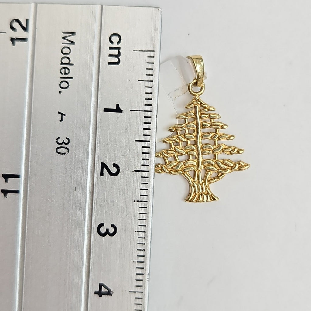DIJE ORO 10 K 1.4 GRMS (SEMINUEVO)