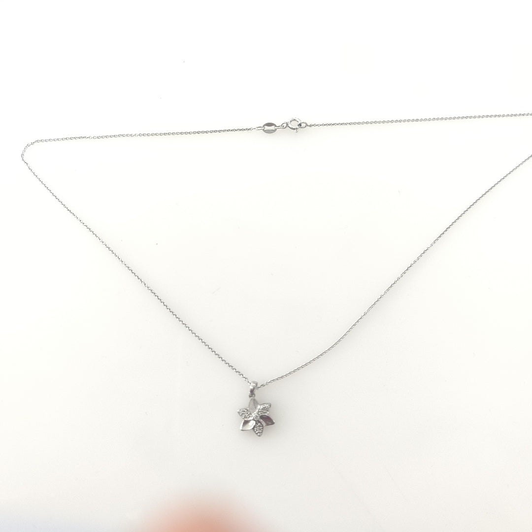 CADENA, DIJE PLATA 2.6 GRMS (SEMINUEVO)