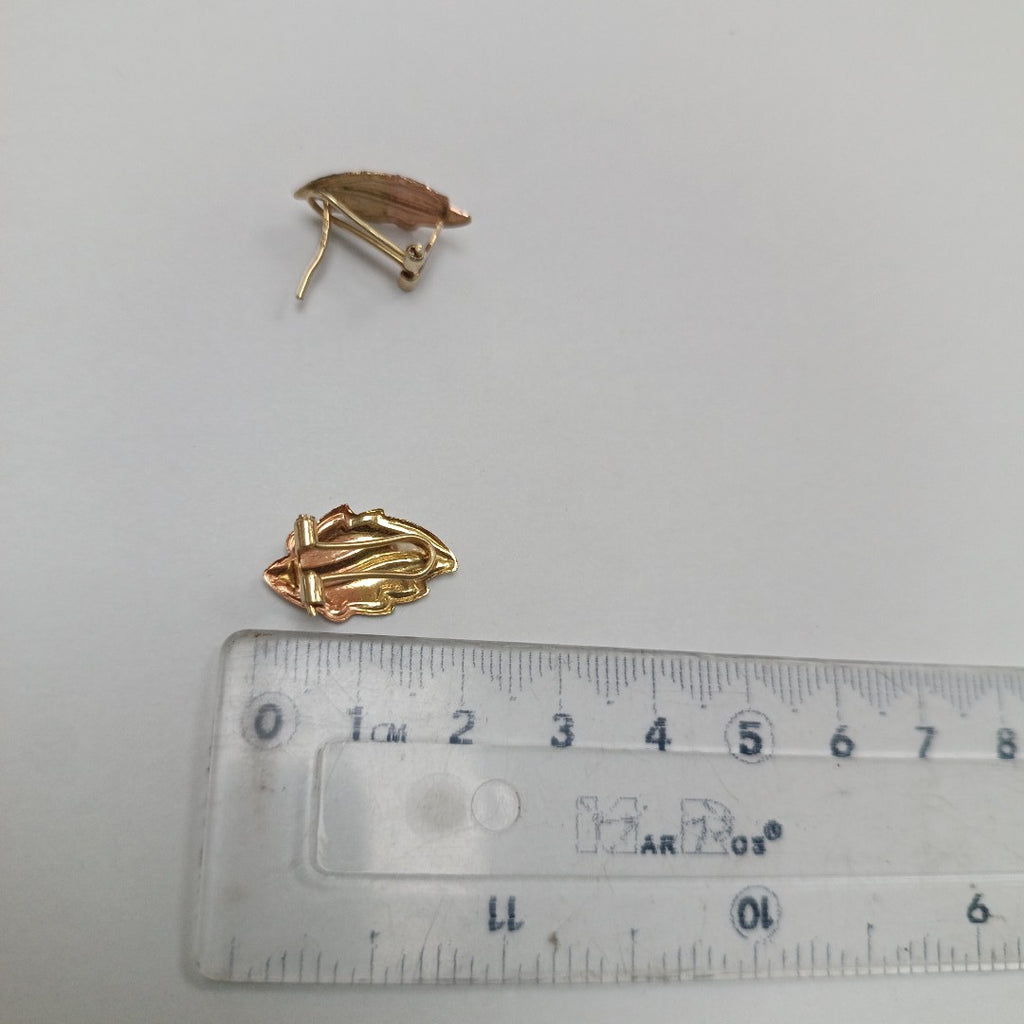 ARETES PAR ORO 10 K 2 GRMS (SEMINUEVO)