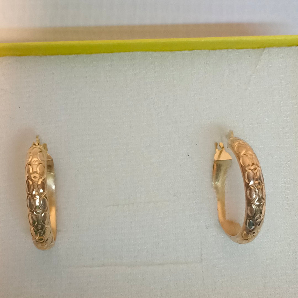 ARRACADAS PAR ORO 10 K 3,60 GRMS (SEMINUEVO)