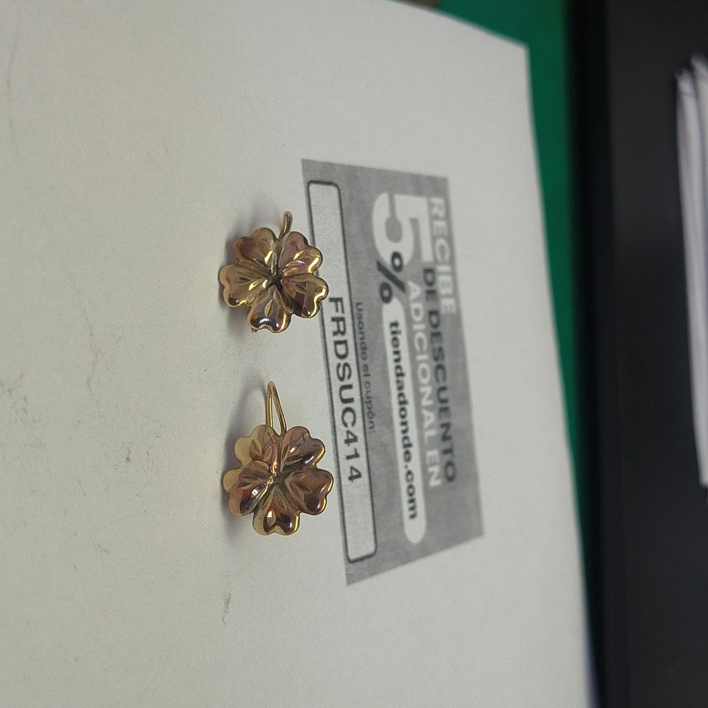 ARETES PAR ORO 10 K 1,40 GRMS (SEMINUEVO)