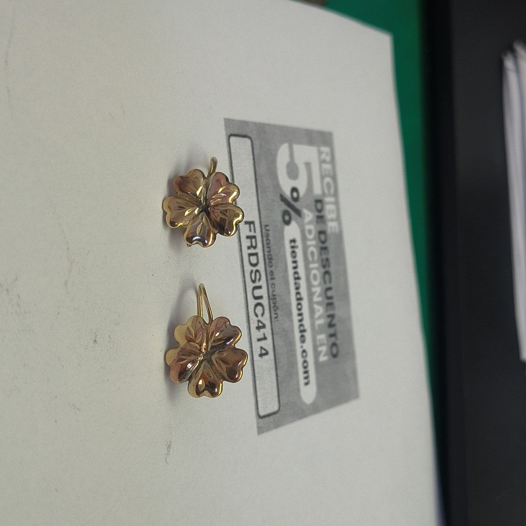 ARETES PAR ORO 10 K 1,40 GRMS (SEMINUEVO)