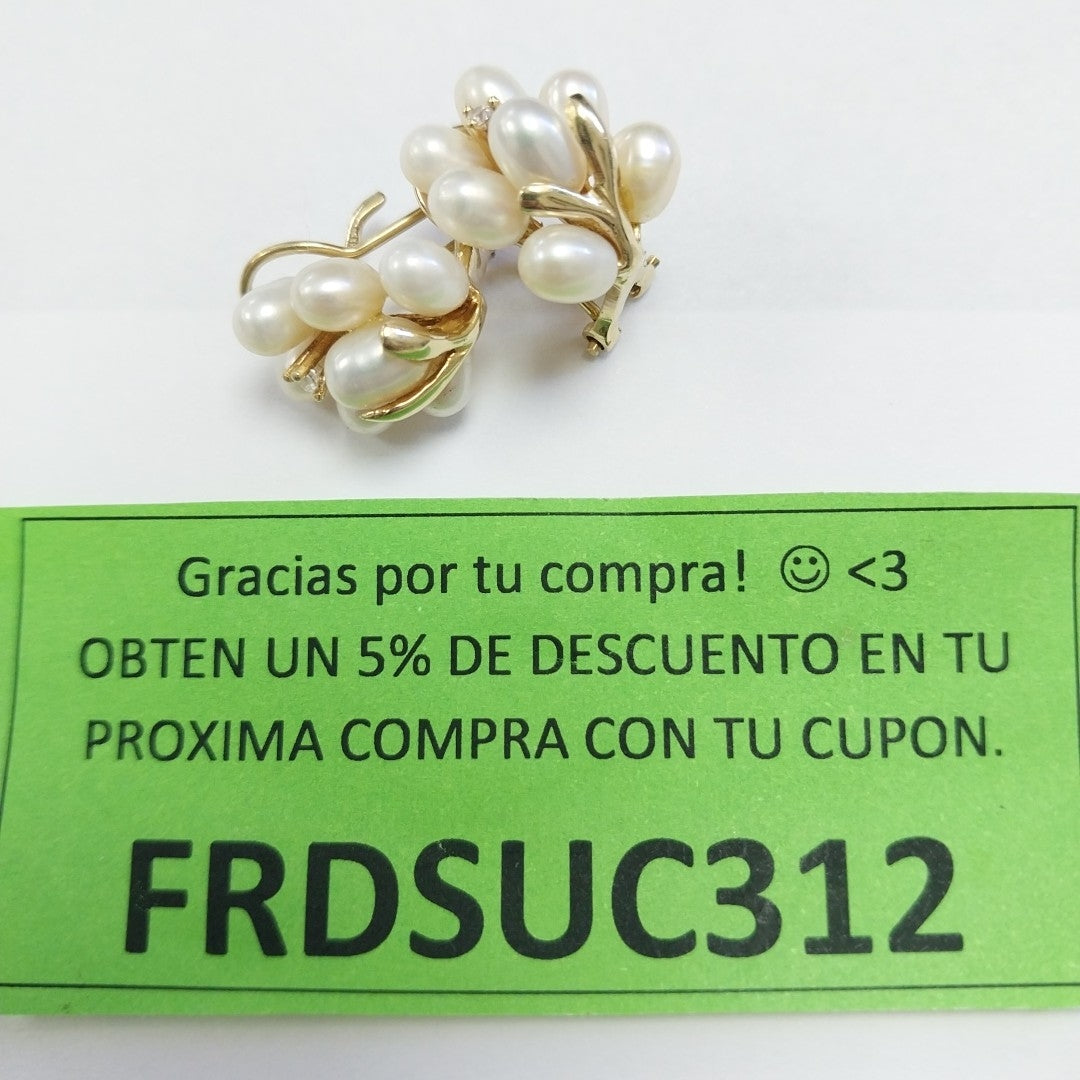 ARETES PAR ORO 10 K 5.4 GRMS (SEMINUEVO)
