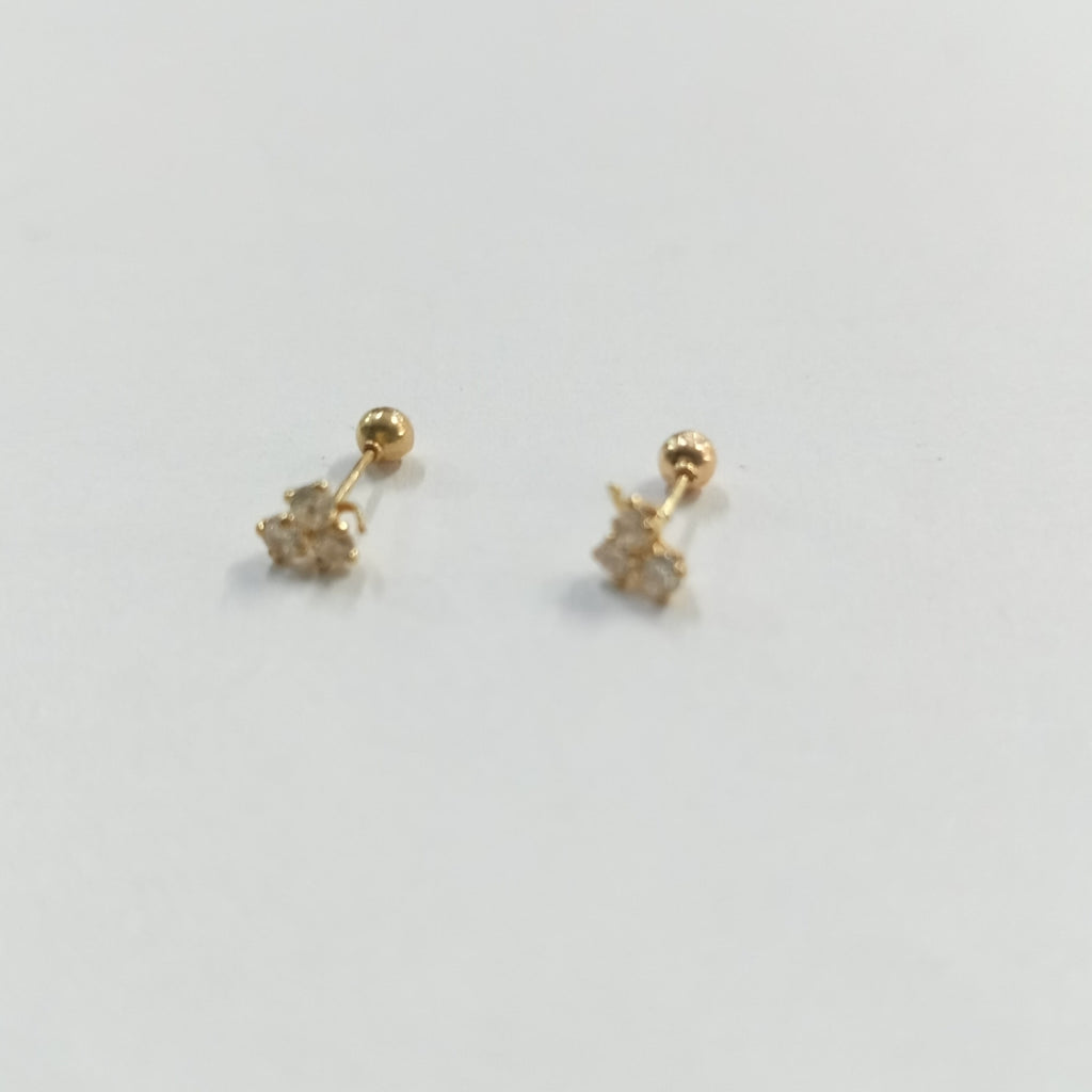 BROQUELES PAR ORO 10 K 0,30 GRMS (SEMINUEVO)
