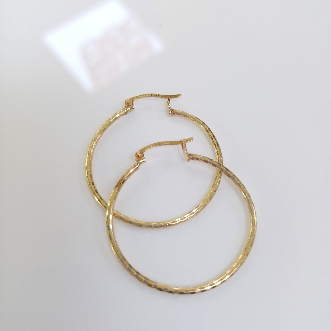 ARRACADAS PAR ORO 10 K 1.6 GRMS (SEMINUEVO)