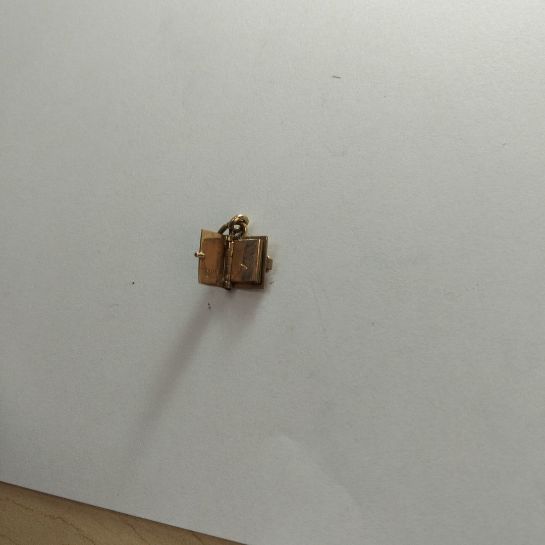 DIJE ORO 14 K 3.1 GRMS (SEMINUEVO)