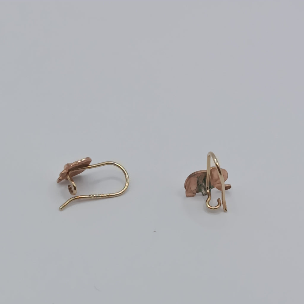 ARETES PAR ORO 10 K 1 GRMS (SEMINUEVO)