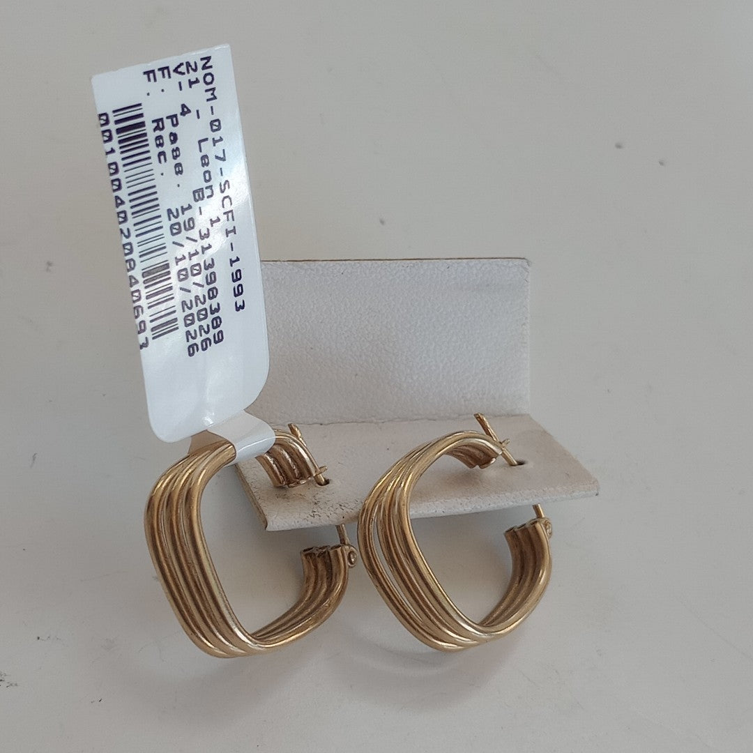 ARRACADAS PAR ORO 10 K 3 GRMS (SEMINUEVO)