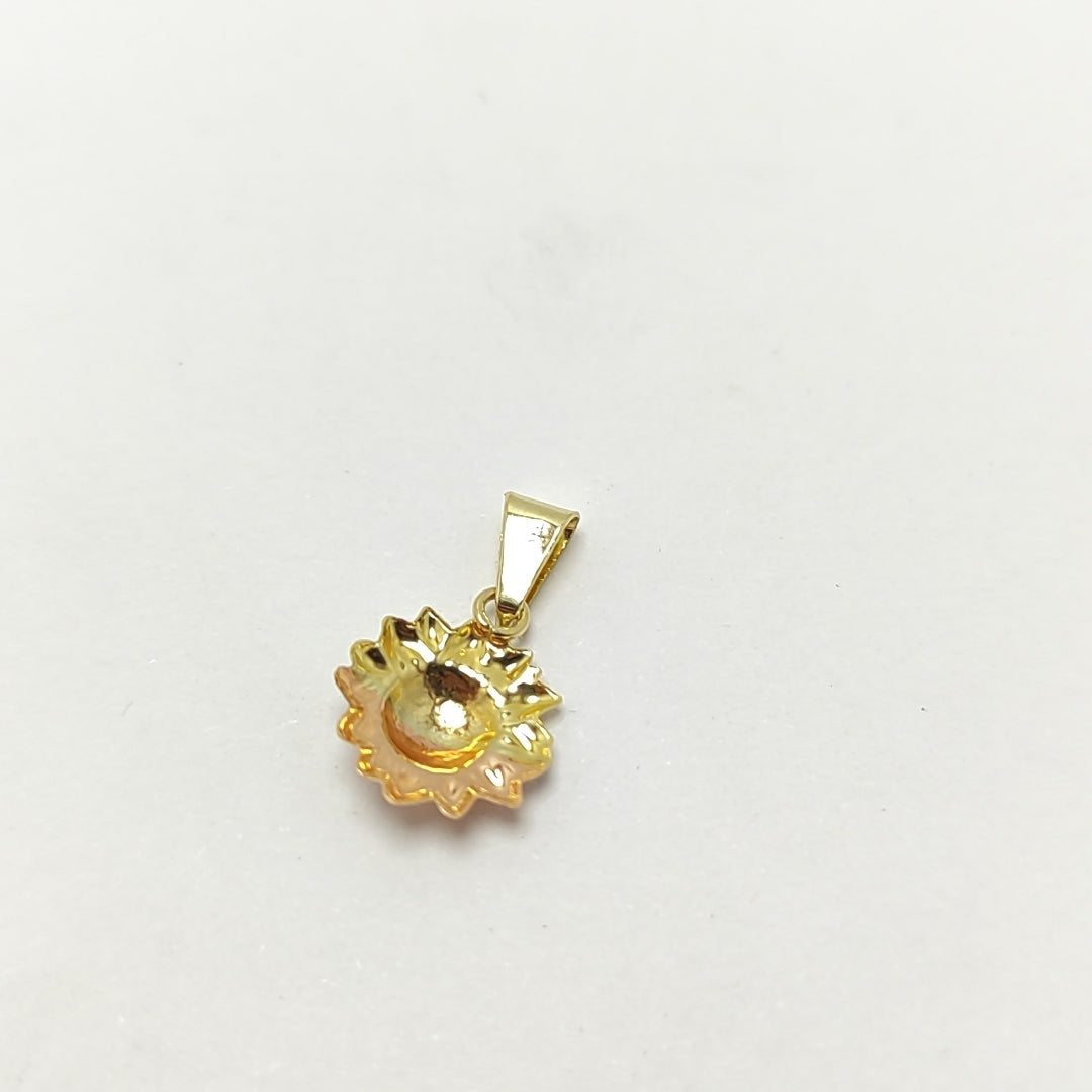 DIJE ORO, ORO COMBINADO 10 K 0.3 GRMS (SEMINUEVO)