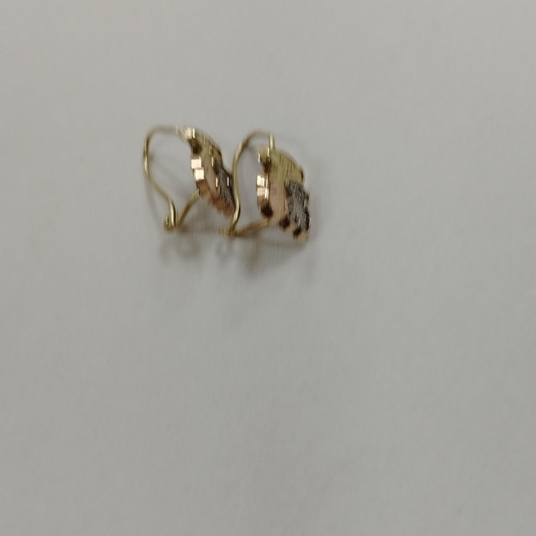 ARETES PAR ORO 10 K 0.7 GRMS (SEMINUEVO)