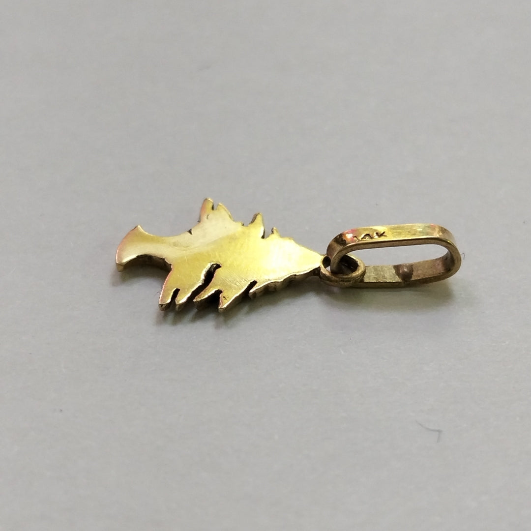 DIJE ORO 14 K 1.8 GRMS (SEMINUEVO)
