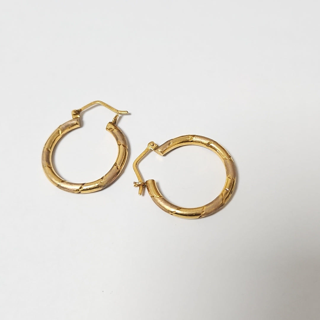 ARETES PAR ORO 10 K 2,90 GRMS (SEMINUEVO)