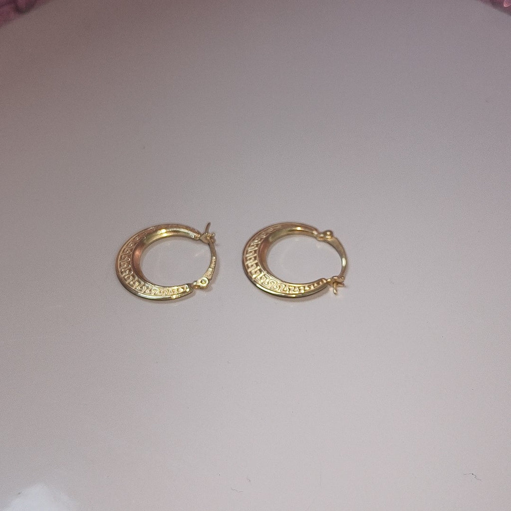 ARRACADAS PAR ORO 10 K 1.4 GRMS (SEMINUEVO)