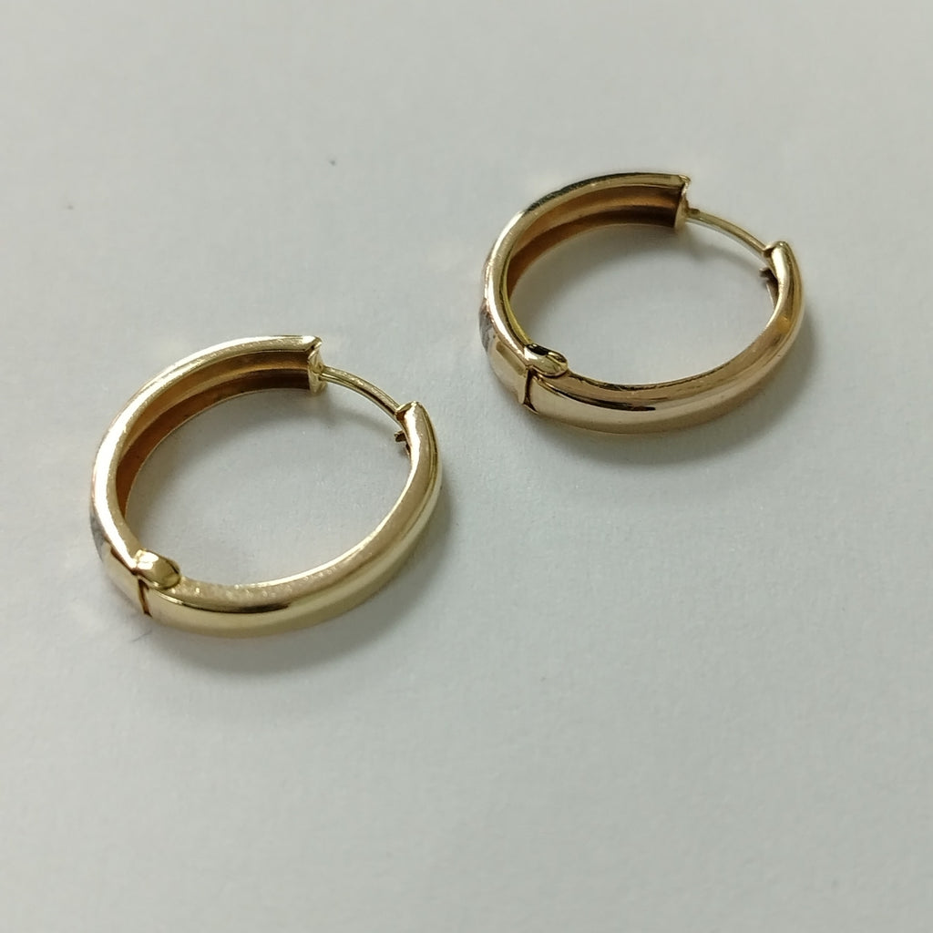 ARRACADAS PAR ORO 10 K 1.8 GRMS (SEMINUEVO)