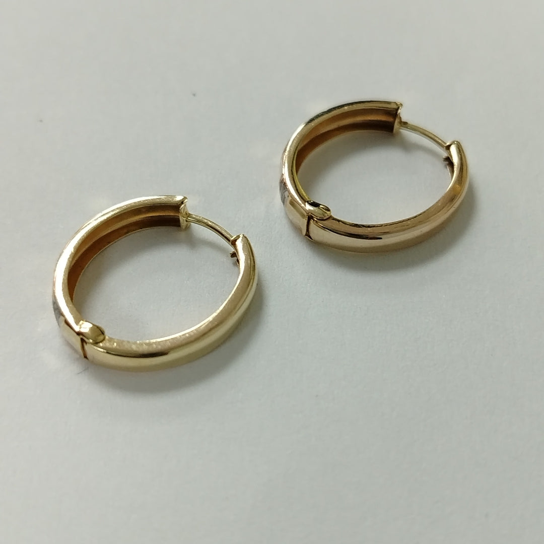 ARRACADAS PAR ORO 10 K 1.8 GRMS (SEMINUEVO)