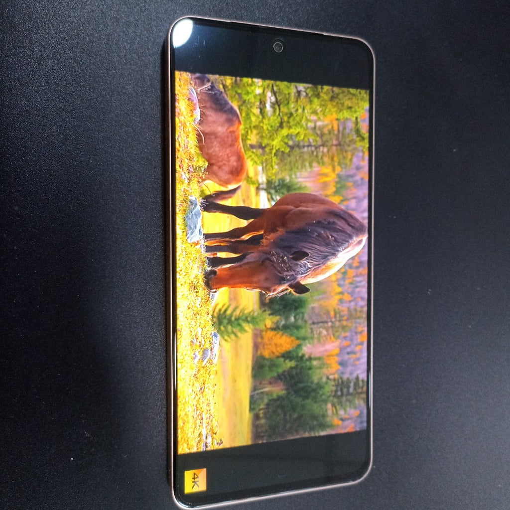 CELULAR VIVO V30 LITE V2314 (2023) 256 GB 12 GB RAM (SEMINUEVO)