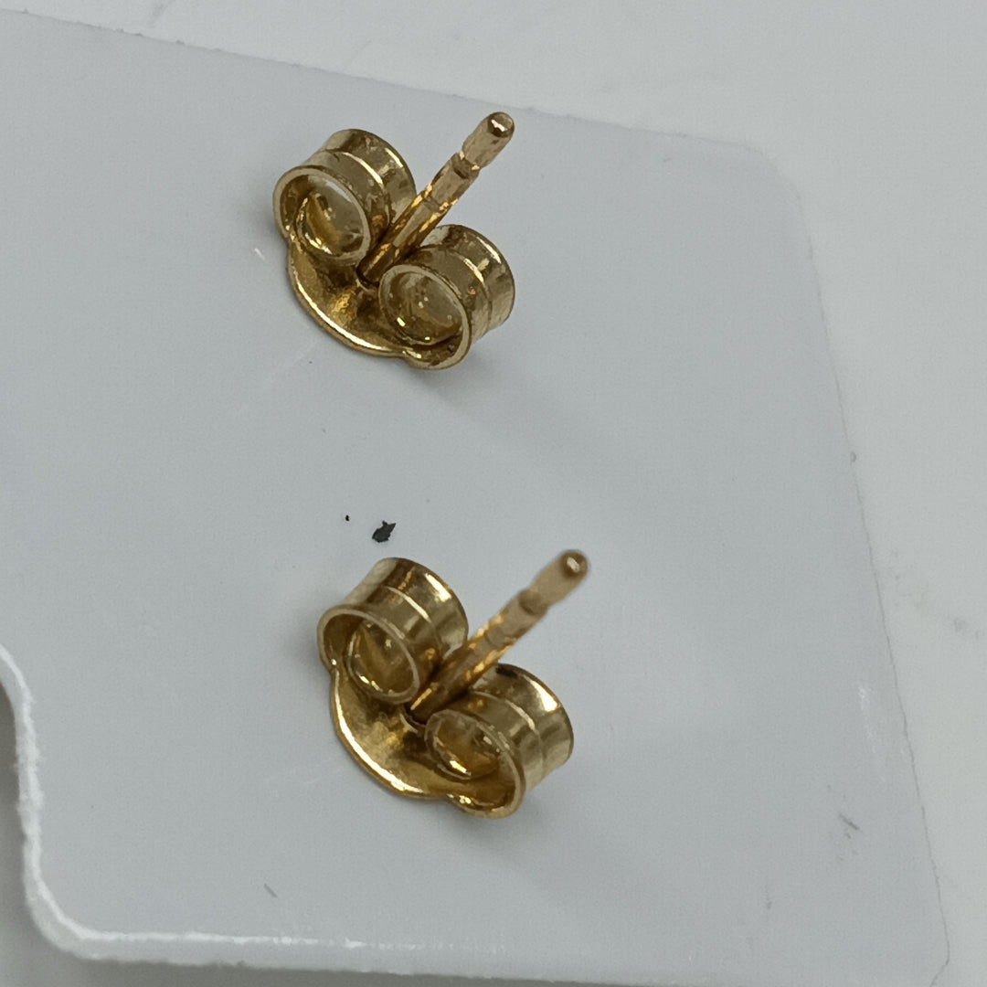 10029BRO00000A1402 FRD11 BROQUEL DE CACTUS ORO 10K 0.9GRS (NUEVO)