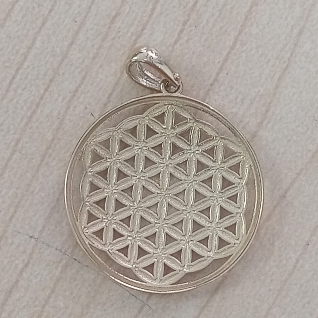 DIJES ORO 14K 1.6 (NUEVO)