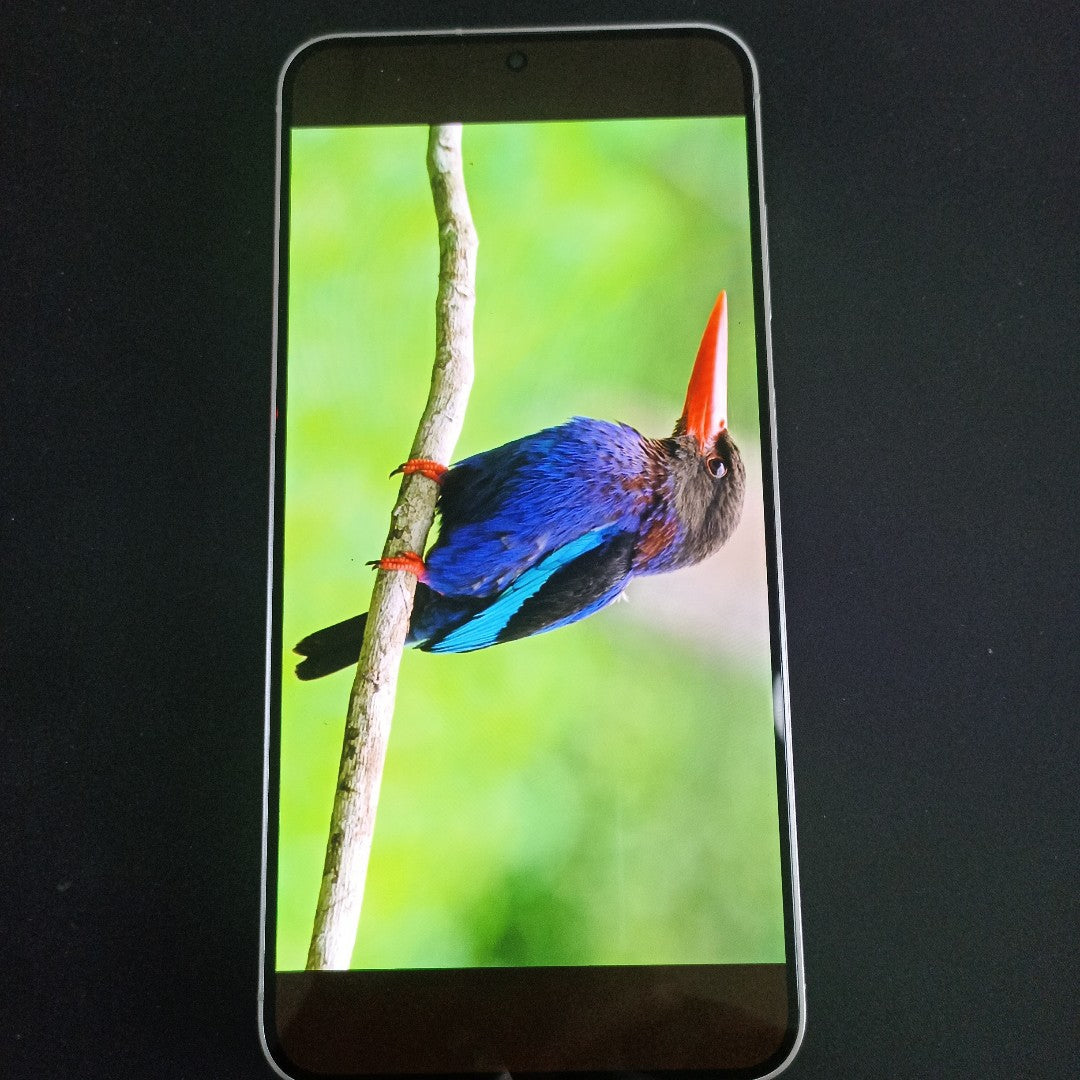 CELULAR SAMSUNG GALAXY S24+ SM-S926U (2024) 256 GB 12 GB RAM (SEMINUEVO)