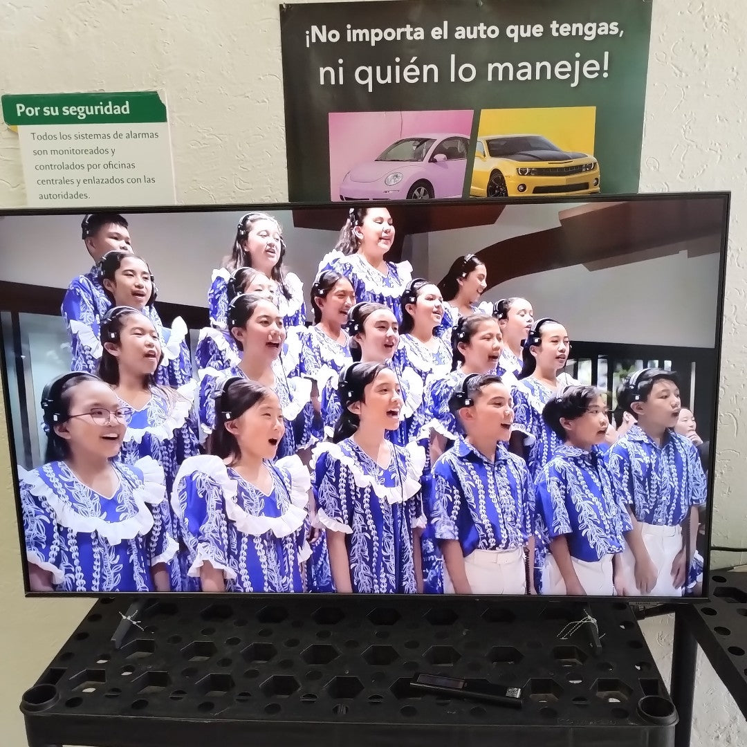 PANTALLA SAMSUNG QN50Q60AAF (2021 50" QLED 4K (SEMINUEVO)