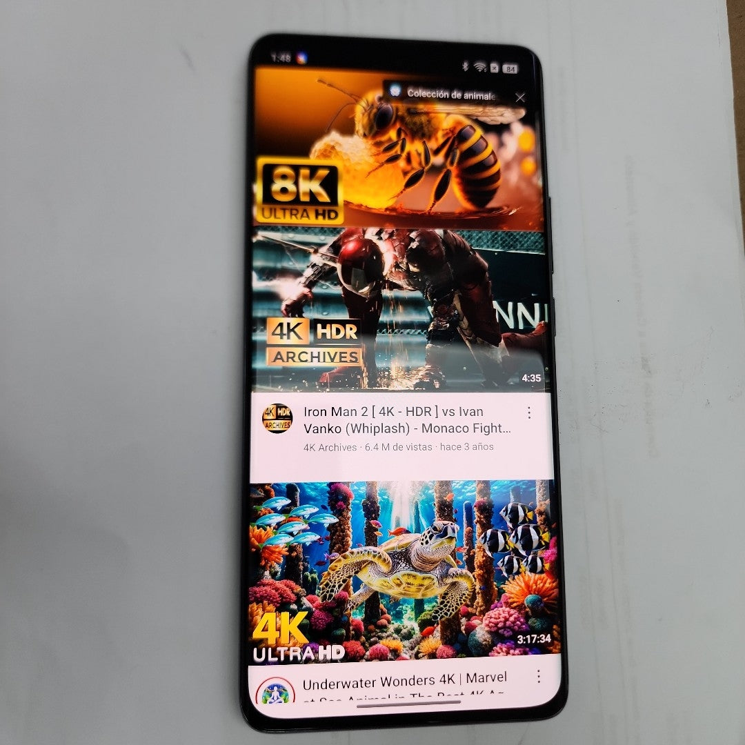 CELULAR OPPO  RENO11 5G CPH2599 (2024) 256 GB 8 GB RAM (SEMINUEVO)